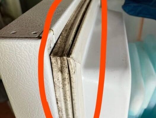 How to Clean Black Mold from a Refrigerator Gasket in Minutes